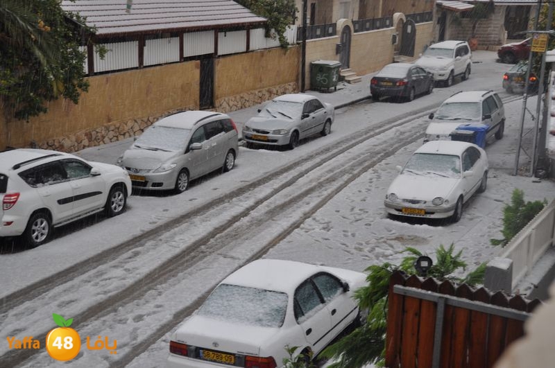 iceman lud 1213 (18).JPG